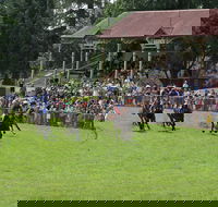 Tumut Boxing Day Races - Pubs Adelaide