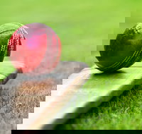 Under 13 14 15 Cricket Youth Championships - Pubs Adelaide