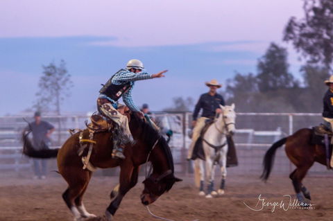 Walgett Charity Bushman's Carnival Rodeo And Campdraft - Pubs Adelaide 1