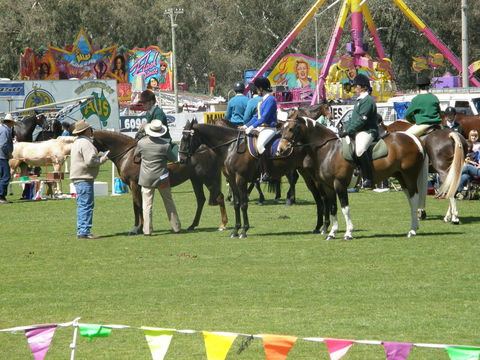 Wangaratta Show - Pubs Adelaide 0