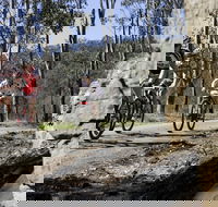 Wollombi Wild Ride Mountain Bike Ride - Pubs Adelaide