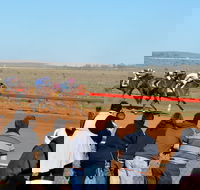 2020 Quorn Cup - Pubs Adelaide