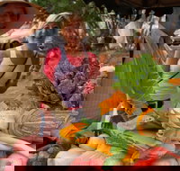 Albany Farmers Market - Pubs Adelaide