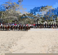 Australian Campdraft Association National Finals Campdraft 2021 - Pubs Adelaide