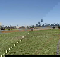 Balranald Races -Derby Day - Pubs Adelaide