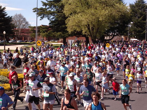 Bathurst Edgell Jog - Pubs Adelaide 0