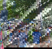 Bellingen Community Markets - Pubs Adelaide