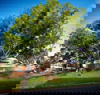 Big Bat Wildlife and Eco Festival - Pubs Adelaide