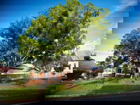 Big Bat Wildlife and Eco Festival