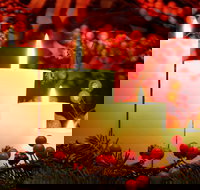 Carols by Candlelight Boorowa - Pubs Adelaide