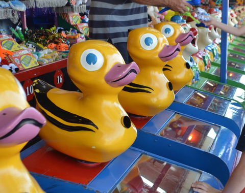 Casino Agricultural Show - Pubs Adelaide 0