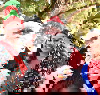 Christmas on the Plains - Quirindi - Pubs Adelaide