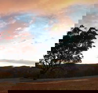 Christmas in July Jumpers and Jazz - Pubs Adelaide