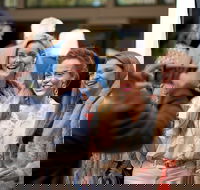 CinefestOZ Film Festival - Pubs Adelaide