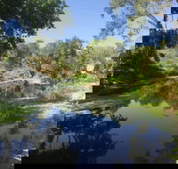 Conservation Volunteers Australia Townsville - Creekwatch - Pubs Adelaide