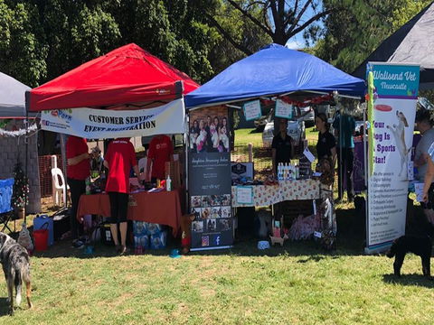 Dogs In The Park Shell Harbour - Pubs Adelaide 0