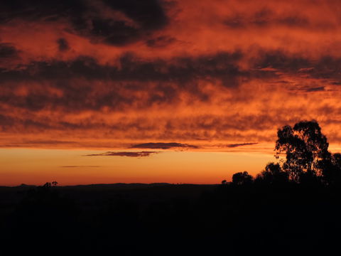 Father's Day At Cottontail Wines - Pubs Adelaide 0