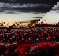 Field of Light Uluru - Pubs Adelaide