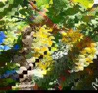 GetawaysSA Bringing Barossa To Your Door - Pubs Adelaide