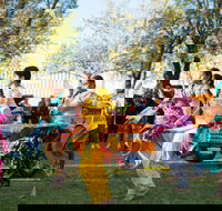 Griffith Spring Fest -  Multicultural Festival - Pubs Adelaide