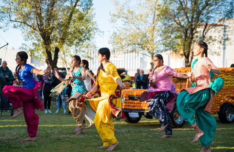 Griffith Spring Fest -  Multicultural Festival - Pubs Adelaide 0