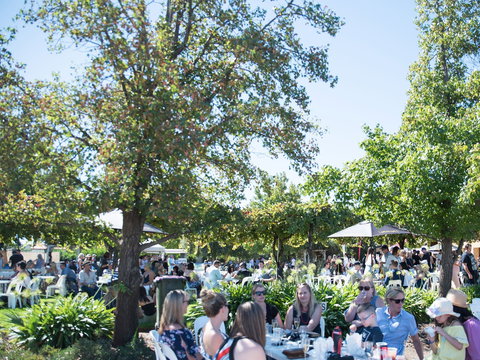 Griffith Vintage Festival - Pubs Adelaide 2