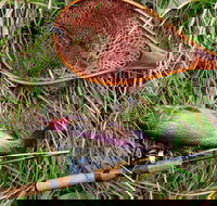 Guyra TroutFest - Pubs Adelaide