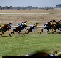 Jerilderie Gold Cup Races - Pubs Adelaide
