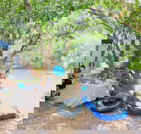 Jungle Love Festival - Pubs Adelaide