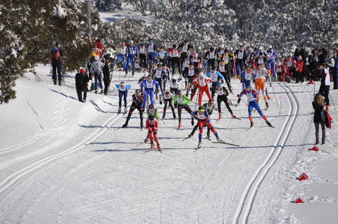 Kangaroo Hoppet - Pubs Adelaide 1