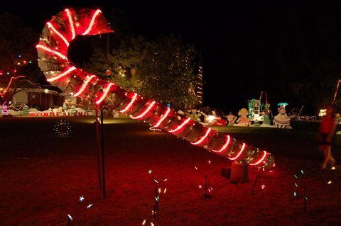 Loxton Christmas Lights Festival - Pubs Adelaide 2