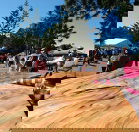 Maleny Wood Expo From Seed to Fine Furniture - Pubs Adelaide