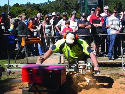 Maleny Wood Expo: From Seed To Fine Furniture - Pubs Adelaide 2