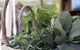 Maldon Market: Handmade, Home Grown - thumb 1