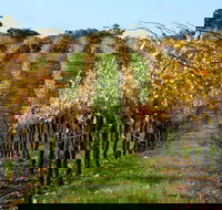 Miners Ridge Wine Tasting - Pubs Adelaide