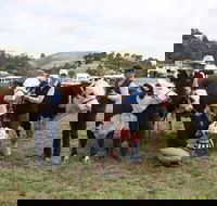 Noorat Show - Pubs Adelaide