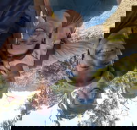 Oxfam Trailwalker Adelaide - Pubs Adelaide