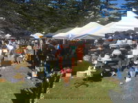 Palm Beach Market