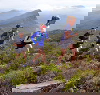 Peaks and Trails Run - Pubs Adelaide