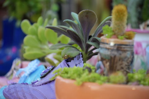 QCWA Sunday Markets Charters Towers - Pubs Adelaide 2