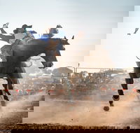 Rodeo by the Sea - Streaky Bay - Pubs Adelaide