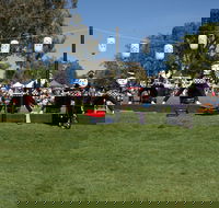 Sakura Matsuri  - Cherry Blossom Festival - in doubt due to Covid-19 - Pubs Adelaide