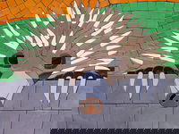 SALA 2020 - Colour Our World