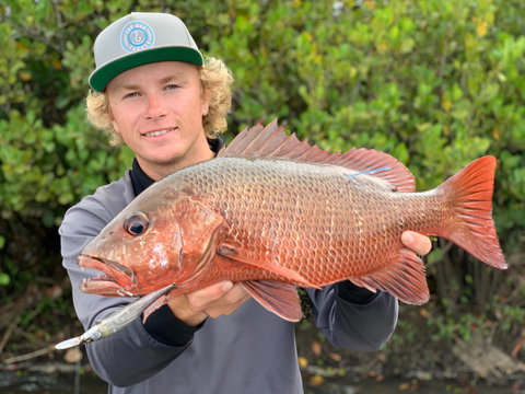 SCF Research And Sustainability Competition - Pubs Adelaide 0