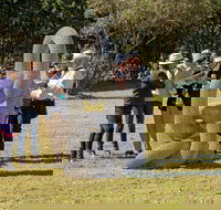 Sculpture for Clyde - Outdoor Exhibition - Pubs Adelaide