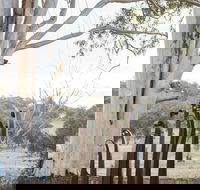 Sculptures in the Garden - Pubs Adelaide