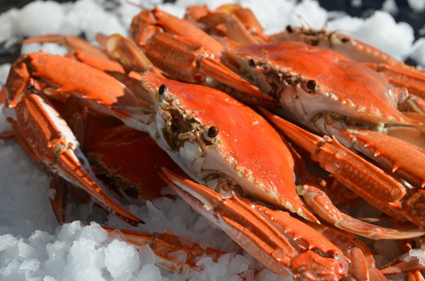 Seafood On Spencer - Pubs Adelaide 1