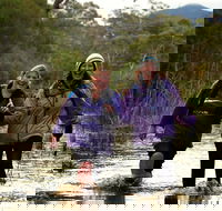 Serra Terror - Pubs Adelaide