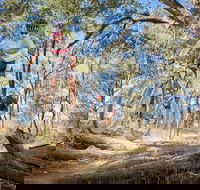 Shimano Mountain Bike Grand Prix Logan - Pubs Adelaide