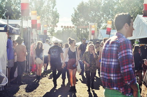 Splendour In The Grass - Pubs Adelaide 1